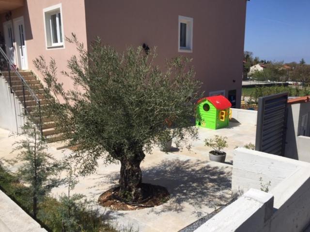 Middle Istra Apartment Pazin Exterior foto