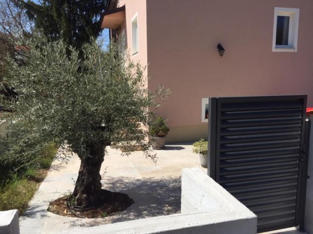 Middle Istra Apartment Pazin Exterior foto