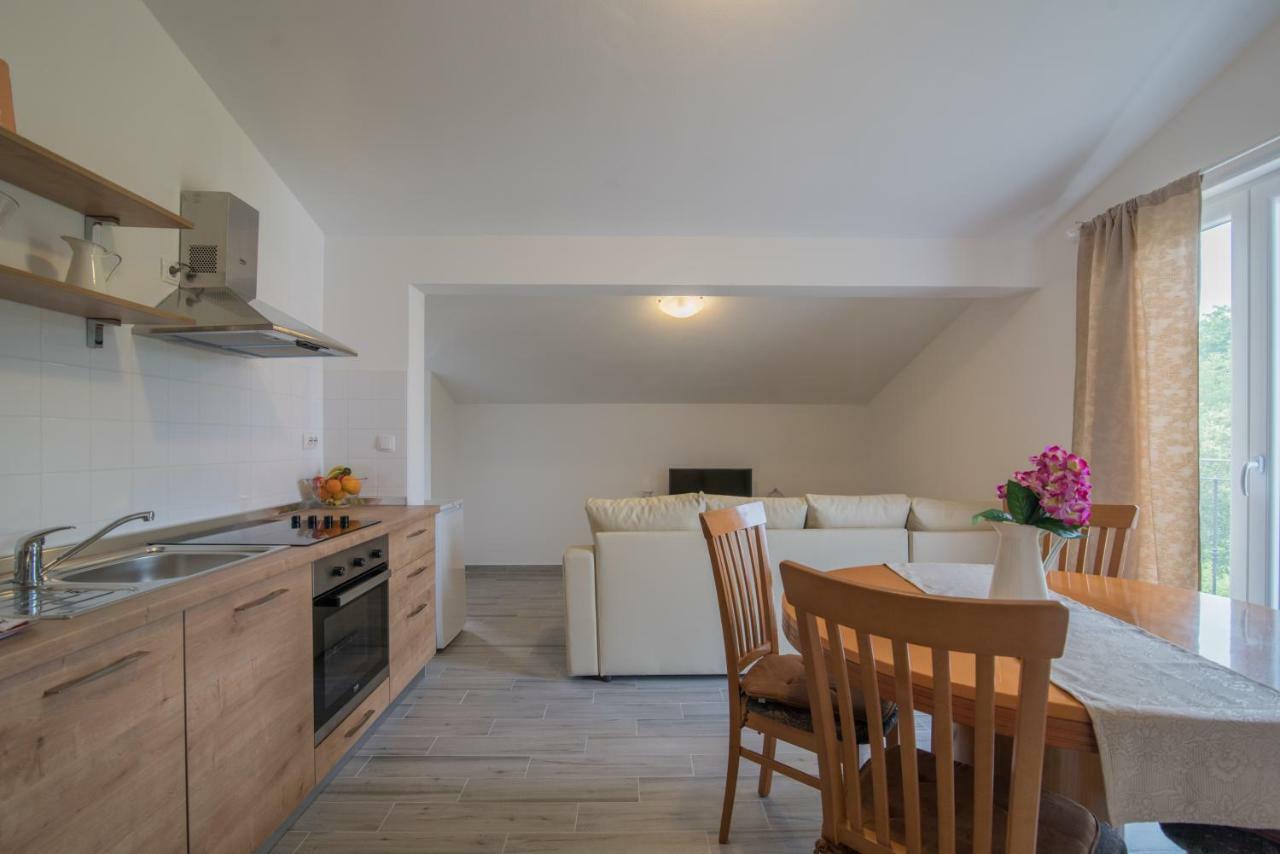Middle Istra Apartment Pazin Exterior foto